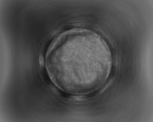X0000086770089200705111743