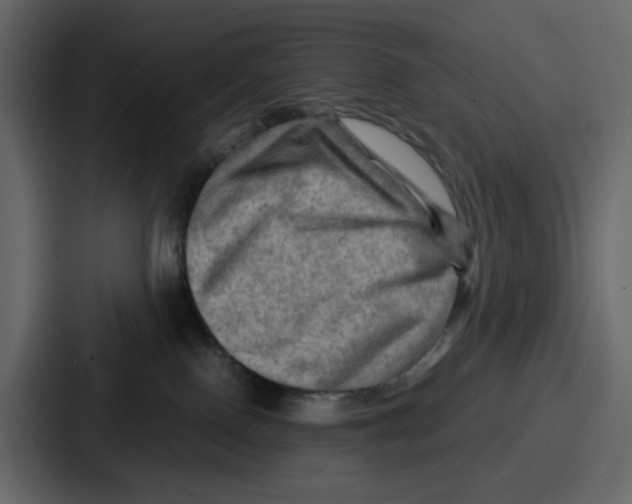 X0000086770090200705111744