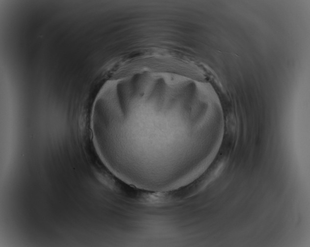 X0000086770092200705111744