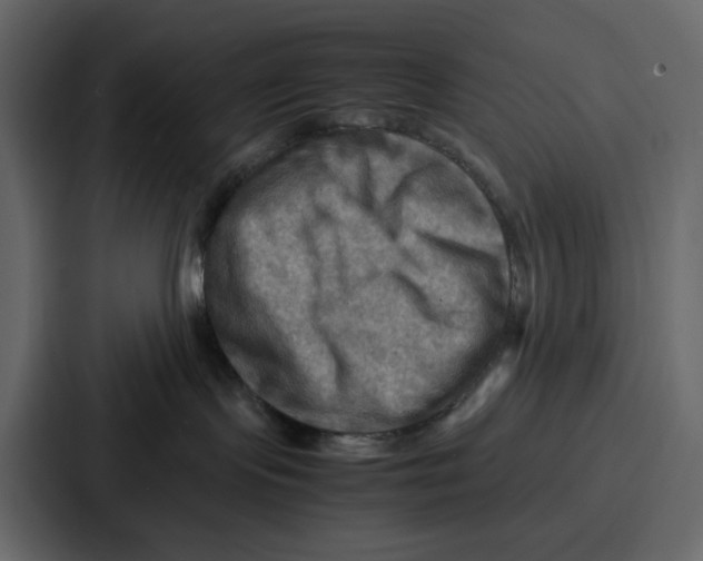 X0000086770095200705111744