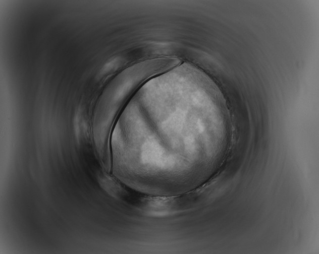 X0000086770096200705111744