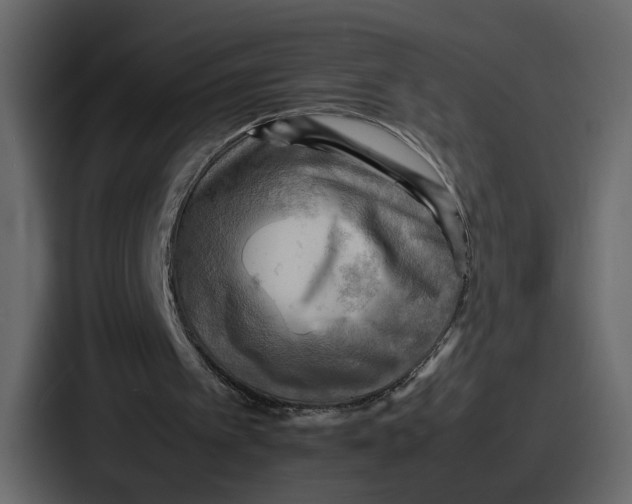 X0000086770097200705111743
