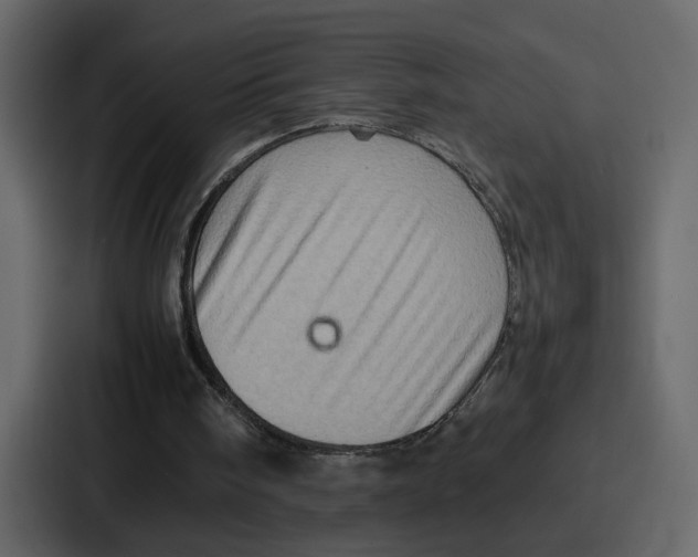 X0000086770098200705111743