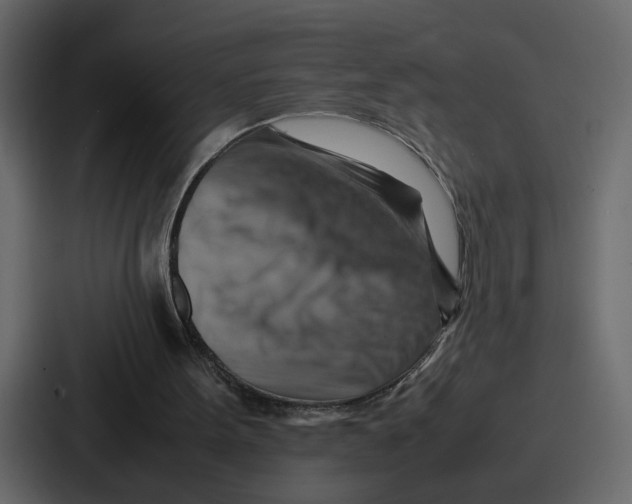 X0000086770099200705111743
