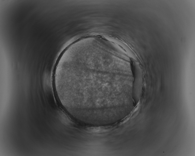 X0000086770100200705111743