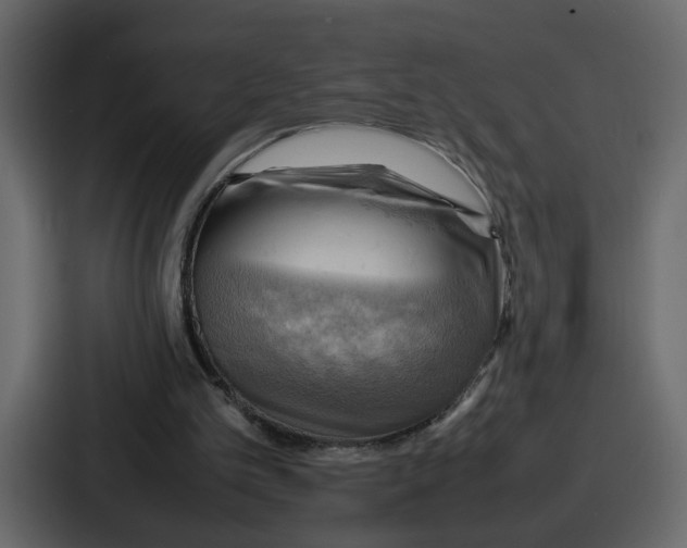 X0000086770101200705111743