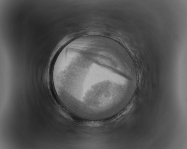 X0000086770102200705111743