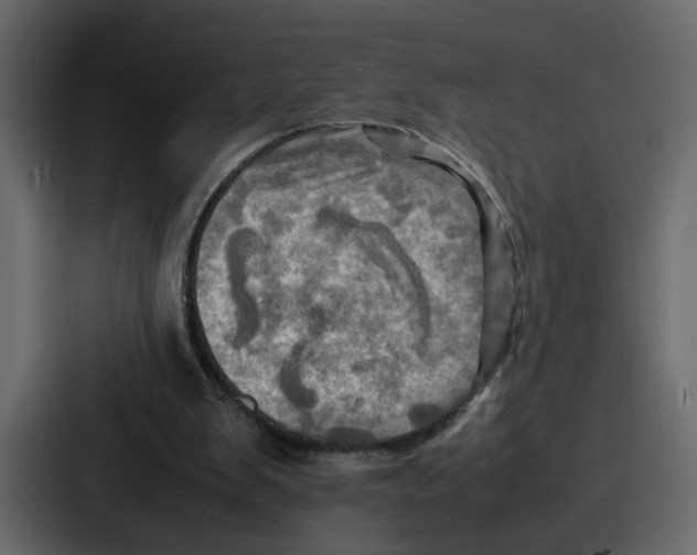 X0000086770103200705111743