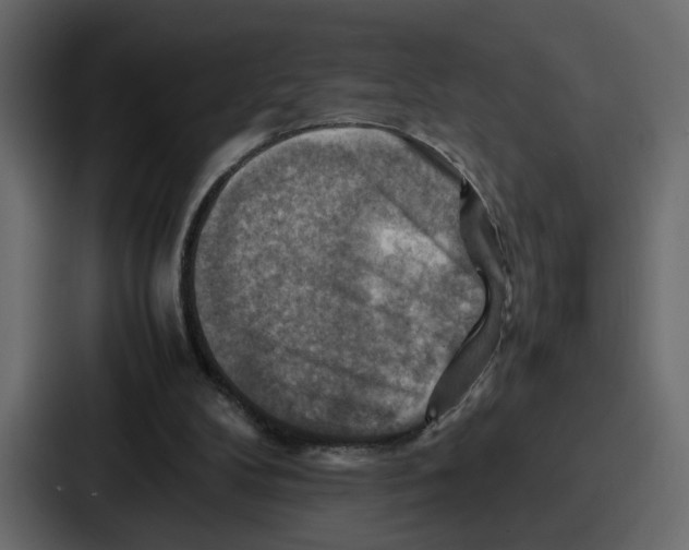 X0000086770104200705111743