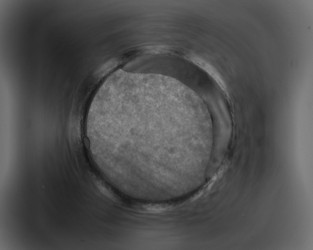 X0000086770105200705111743