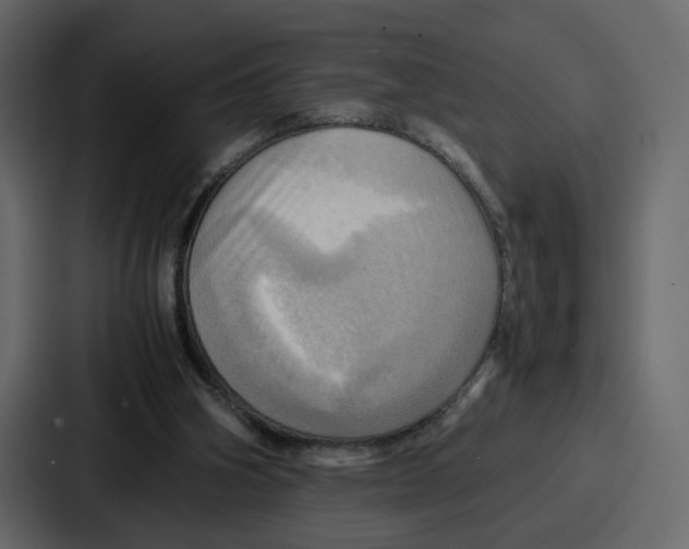 X0000086770106200705111743