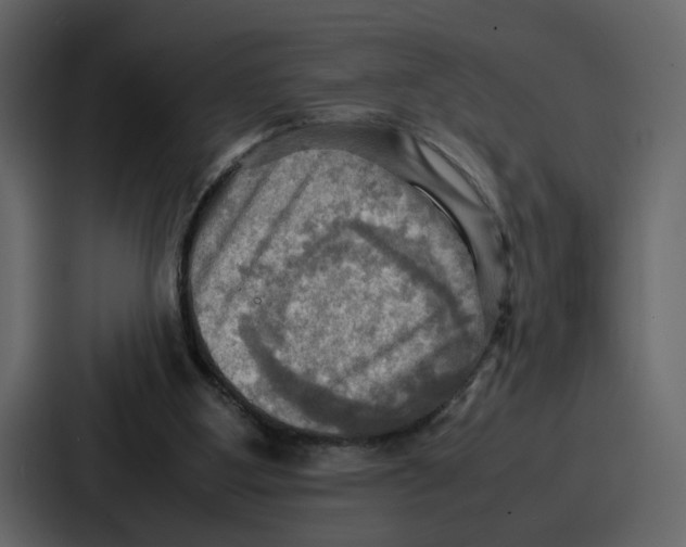 X0000086770107200705111743