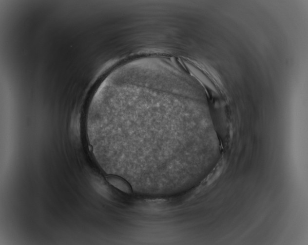 X0000086770108200705111743