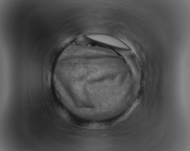 X0000086770109200705111743