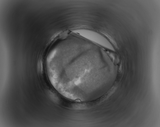X0000086770110200705111743