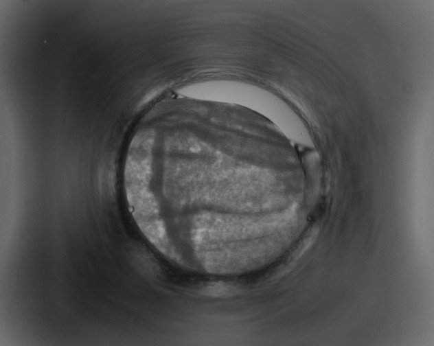 X0000086770111200705111743