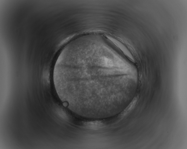X0000086770112200705111743