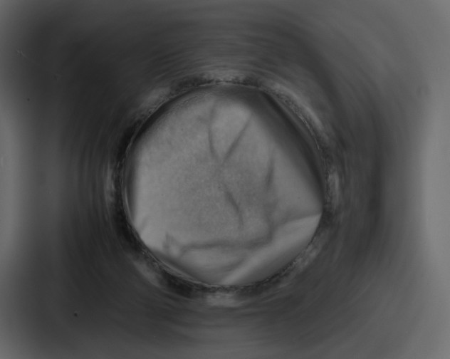 X0000086770114200705111743