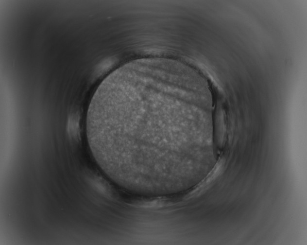 X0000086770116200705111743