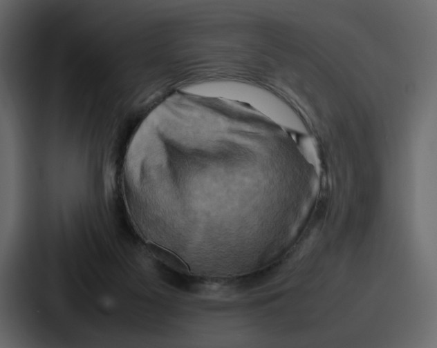X0000086770117200705111743