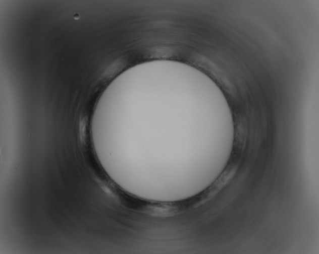 X0000086770118200705111743