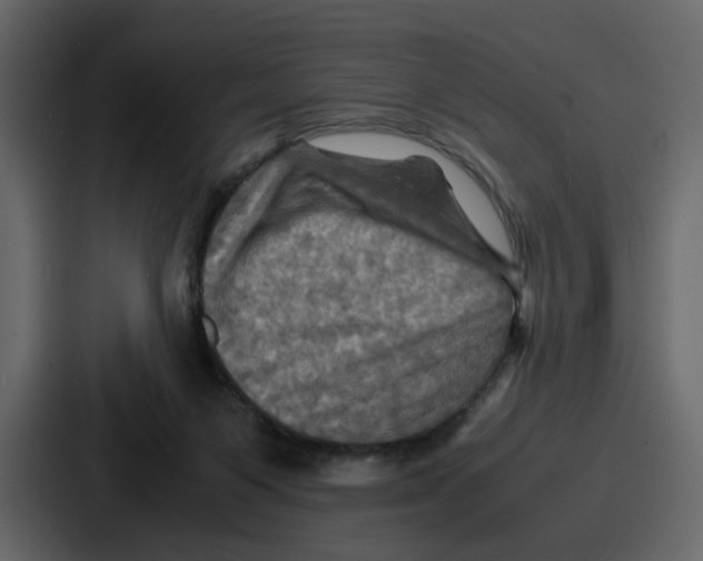 X0000086770119200705111743