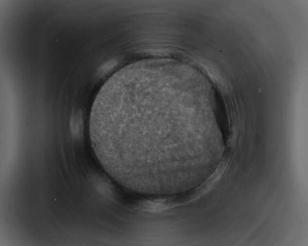 X0000086770120200705111743