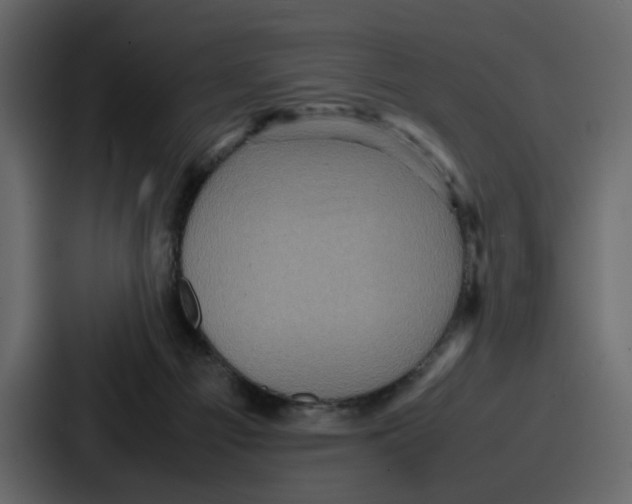 X0000086770121200705111743