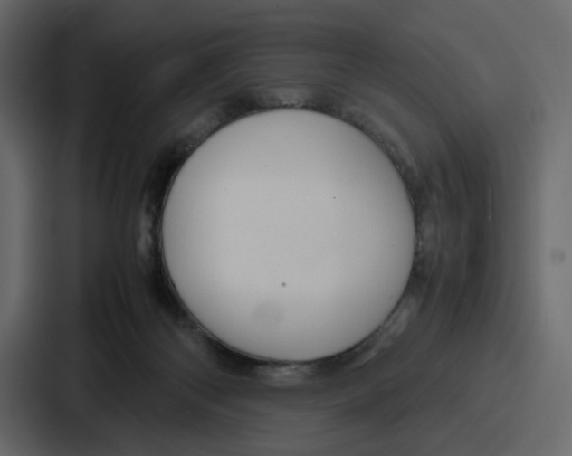 X0000086770122200705111743