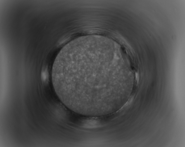 X0000086770124200705111743