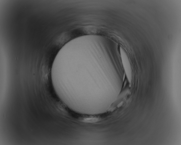X0000086770125200705111743