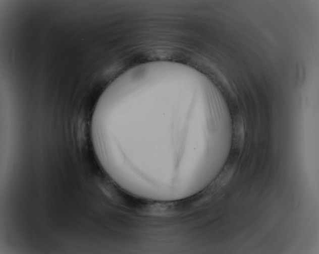 X0000086770126200705111743