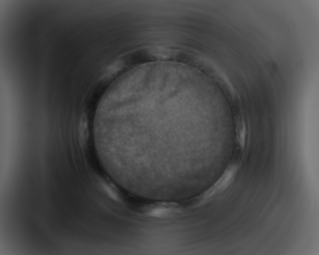 X0000086770128200705111743