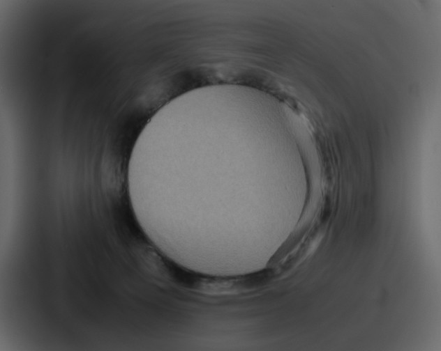 X0000086770129200705111743