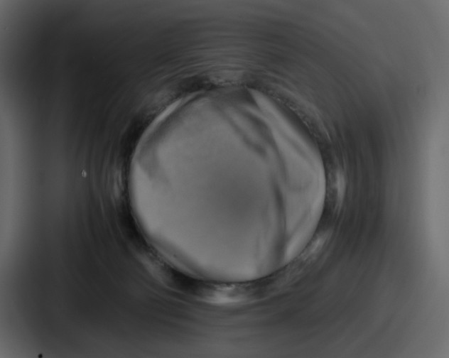 X0000086770130200705111743