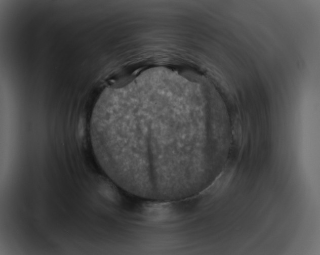 X0000086770132200705111743