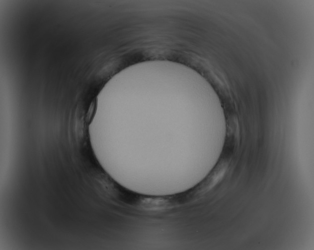 X0000086770133200705111742