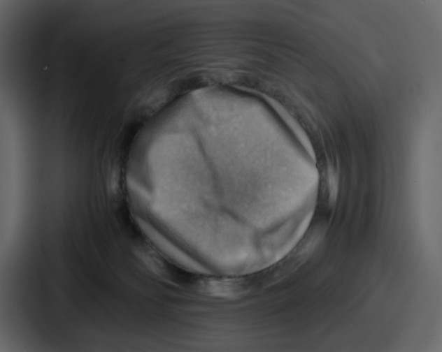 X0000086770134200705111742