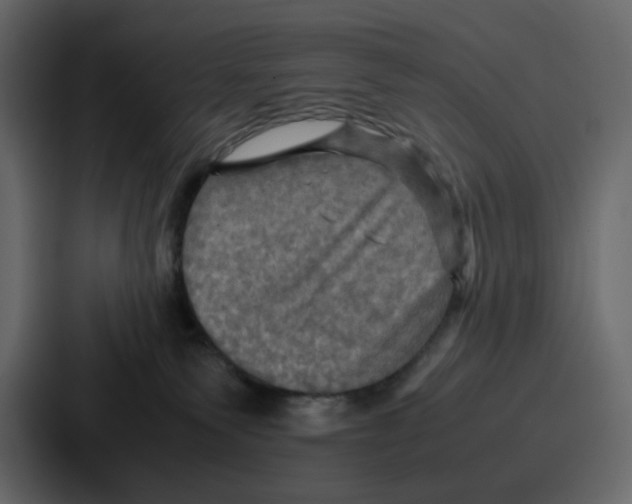 X0000086770135200705111742