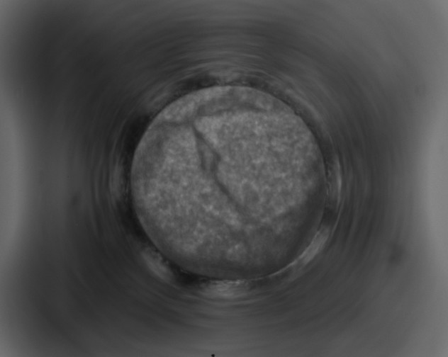 X0000086770136200705111742