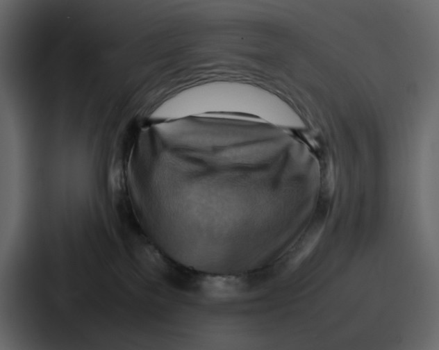 X0000086770137200705111742