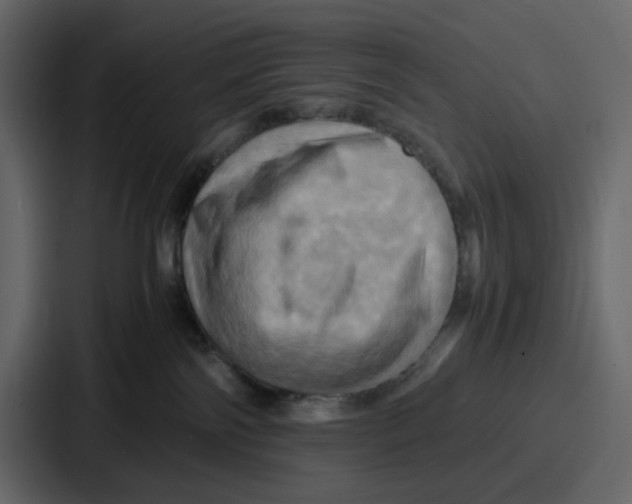 X0000086770138200705111742