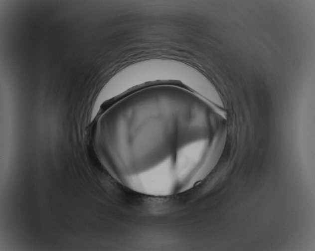 X0000086770139200705111742