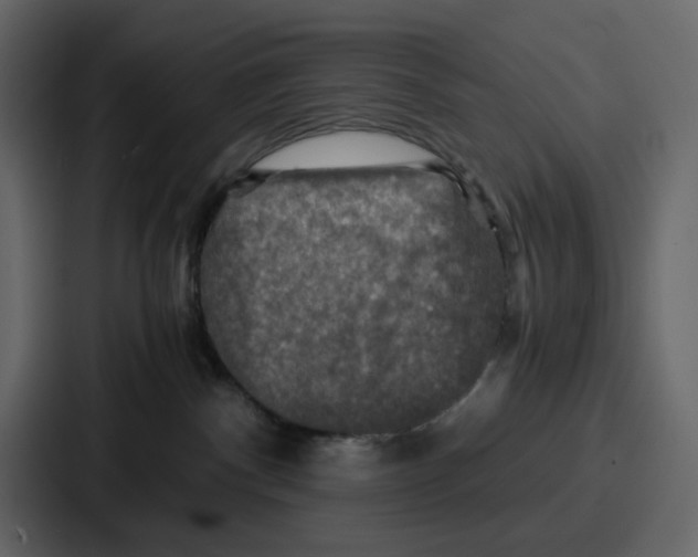 X0000086770140200705111742