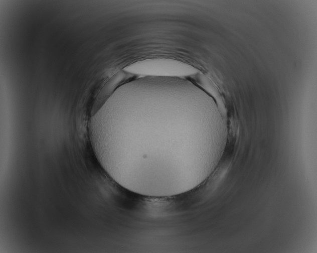 X0000086770141200705111742