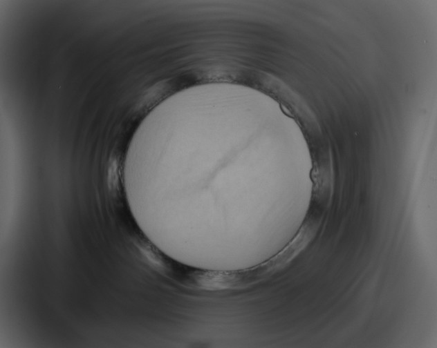 X0000086770142200705111742
