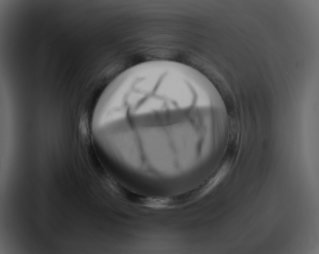 X0000086770143200705111742