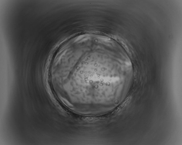 X0000086770145200705111742