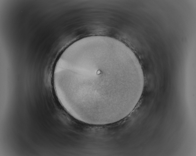 X0000086770146200705111742