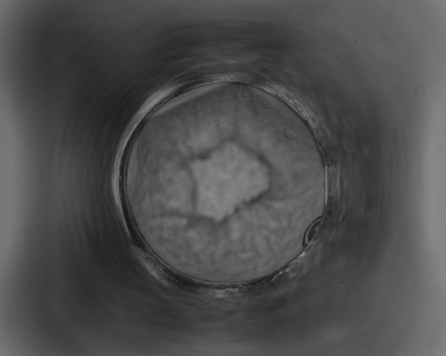 X0000086770147200705111742